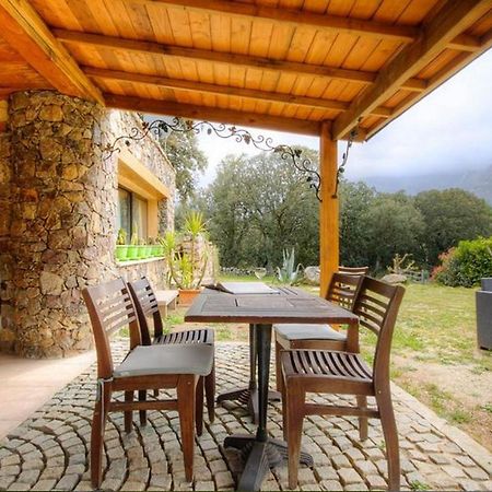 Studio Confortable Avec Vue Sur La Montagne A Moltifao 30M² Jardin 外观 照片