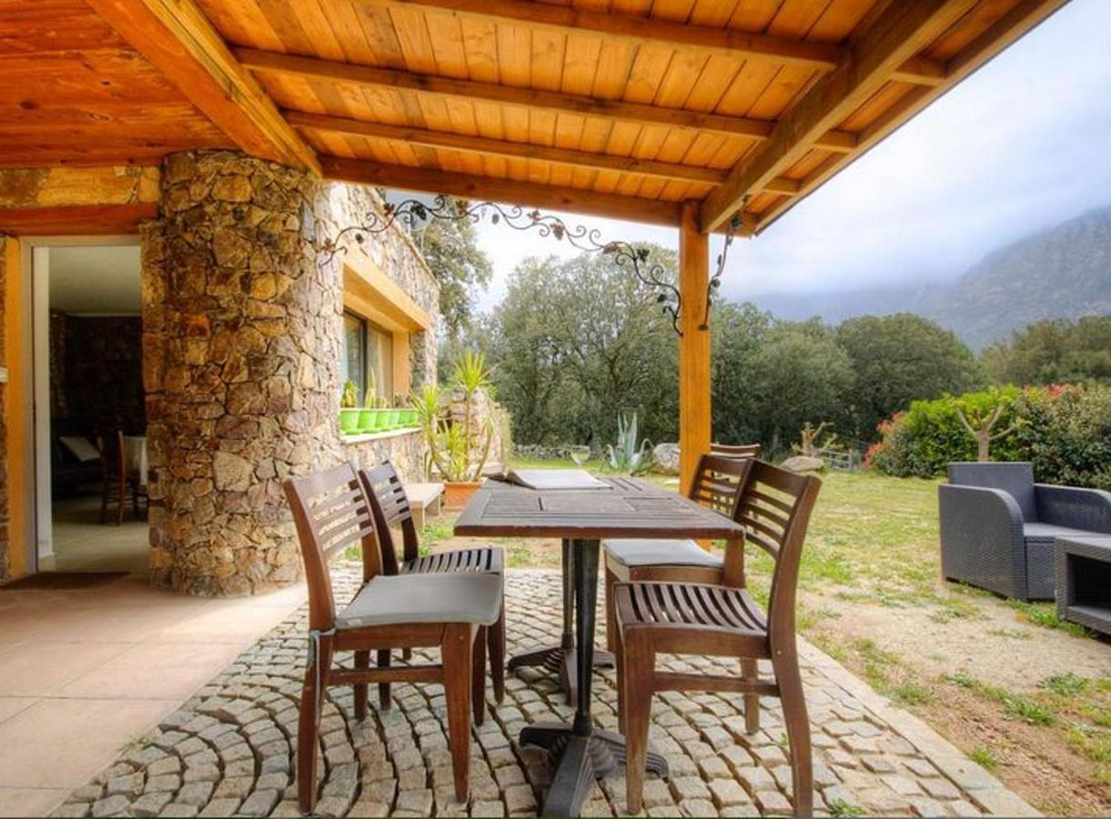Studio Confortable Avec Vue Sur La Montagne A Moltifao 30M² Jardin 外观 照片