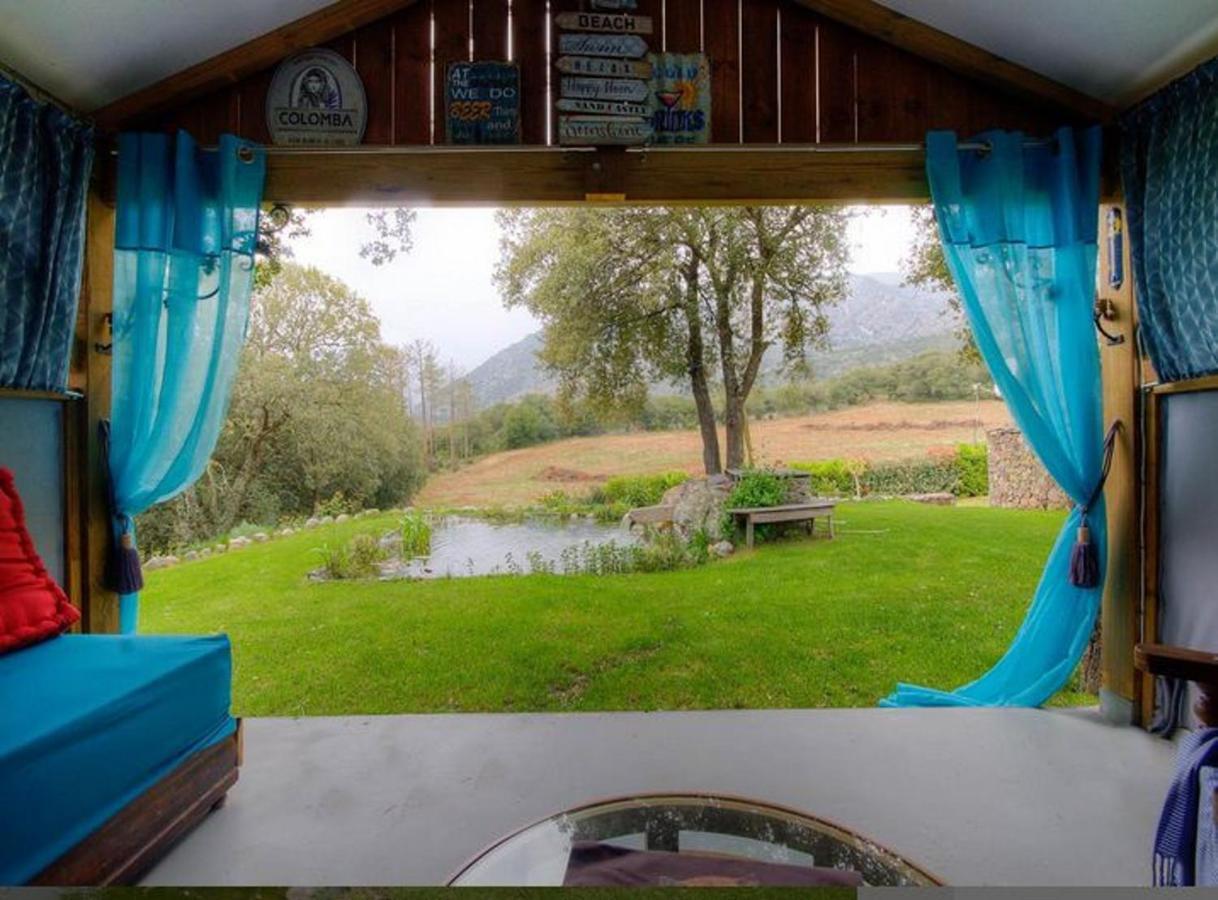 Studio Confortable Avec Vue Sur La Montagne A Moltifao 30M² Jardin 外观 照片