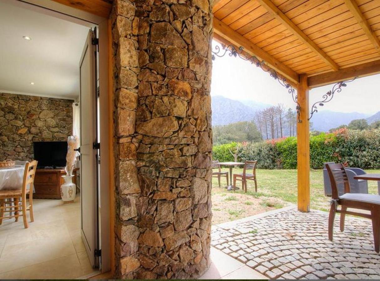 Studio Confortable Avec Vue Sur La Montagne A Moltifao 30M² Jardin 外观 照片