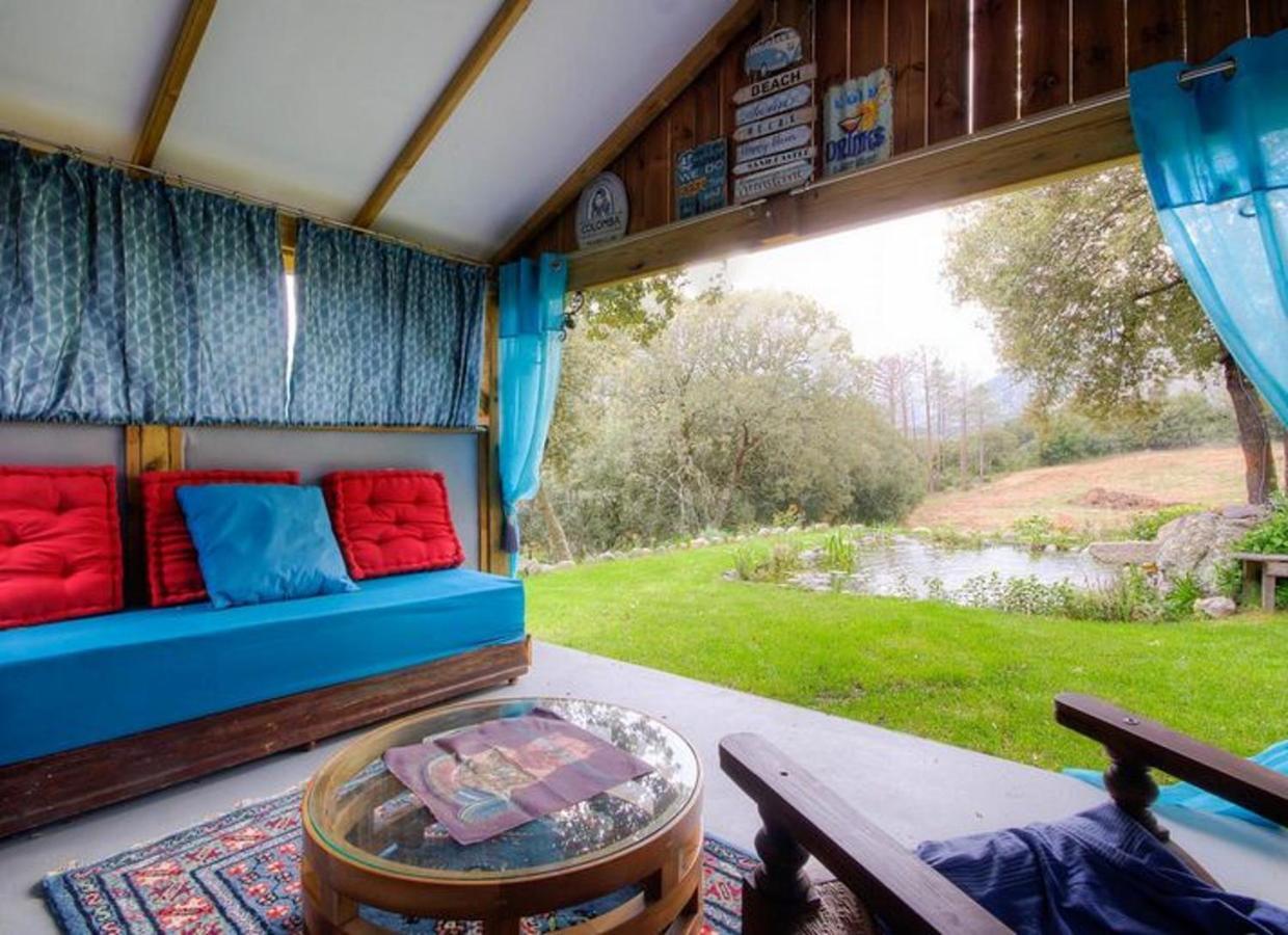 Studio Confortable Avec Vue Sur La Montagne A Moltifao 30M² Jardin 外观 照片